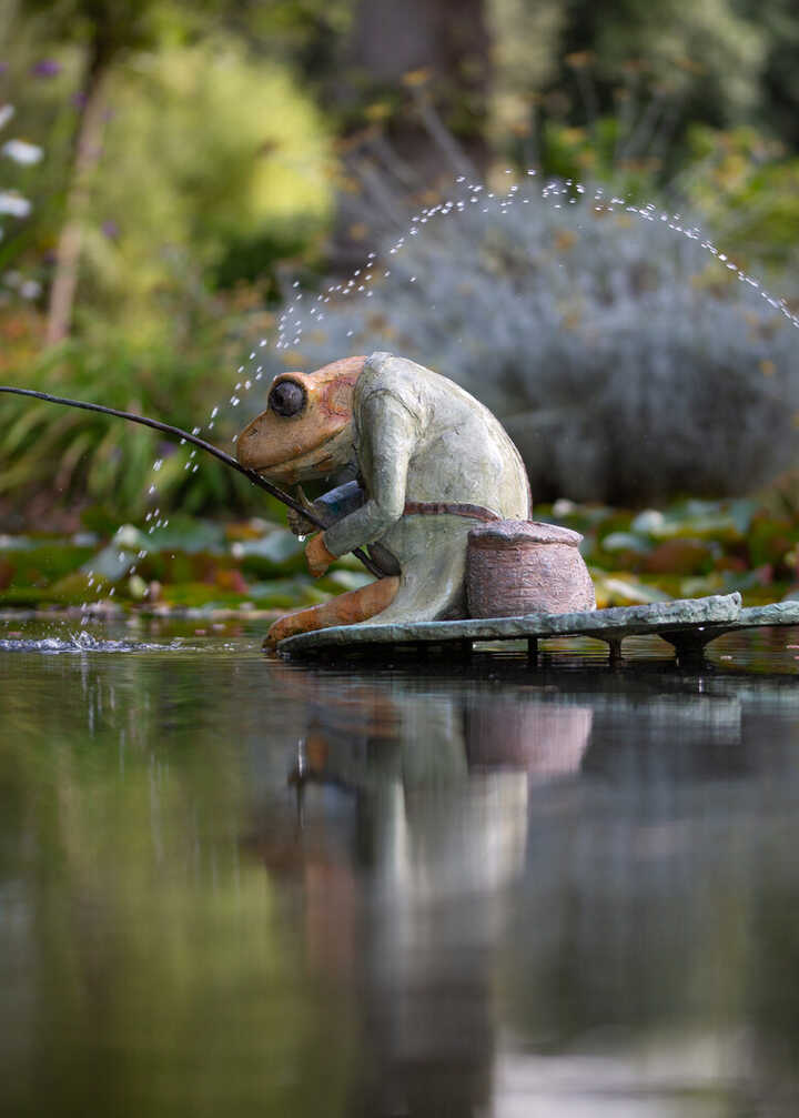 Mr Jeremy Fisher Water Feature