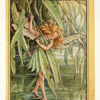 rjw-product-illustration-willow-fairy.jpg