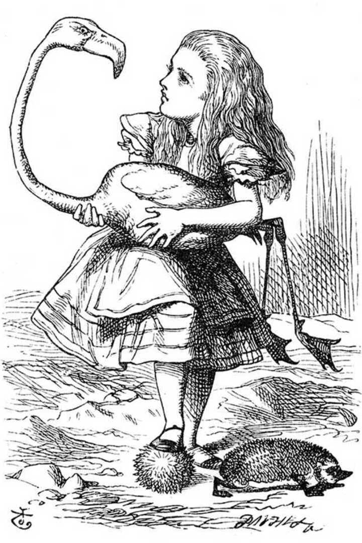 Illustration of Alice and the Flamingo