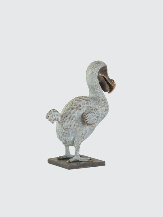 Dodo Back copy.jpg