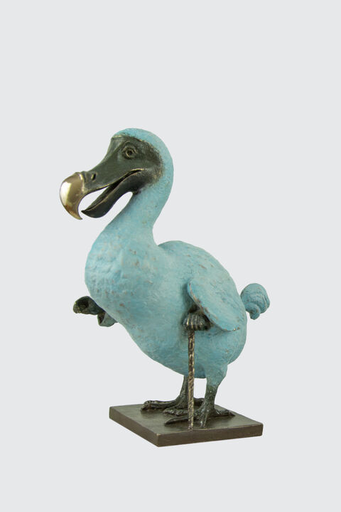 Dodo Front.jpg