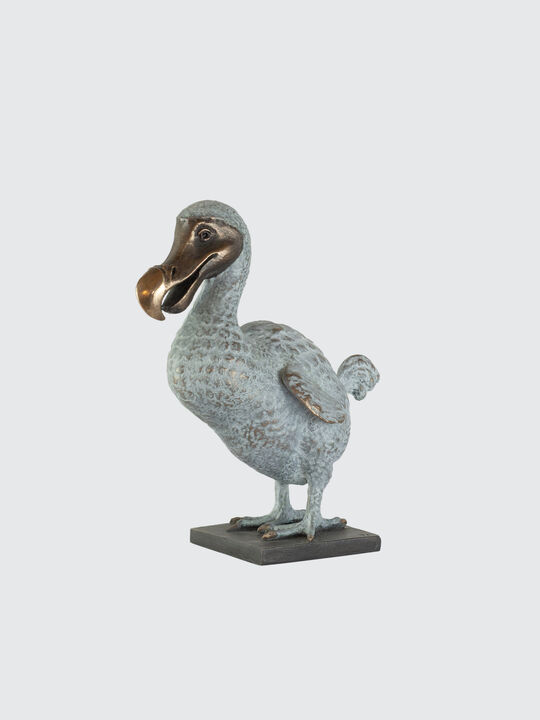 Dodo Front copy.jpg