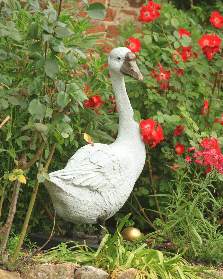 The goose that laid the golden egg at Forde Abbey