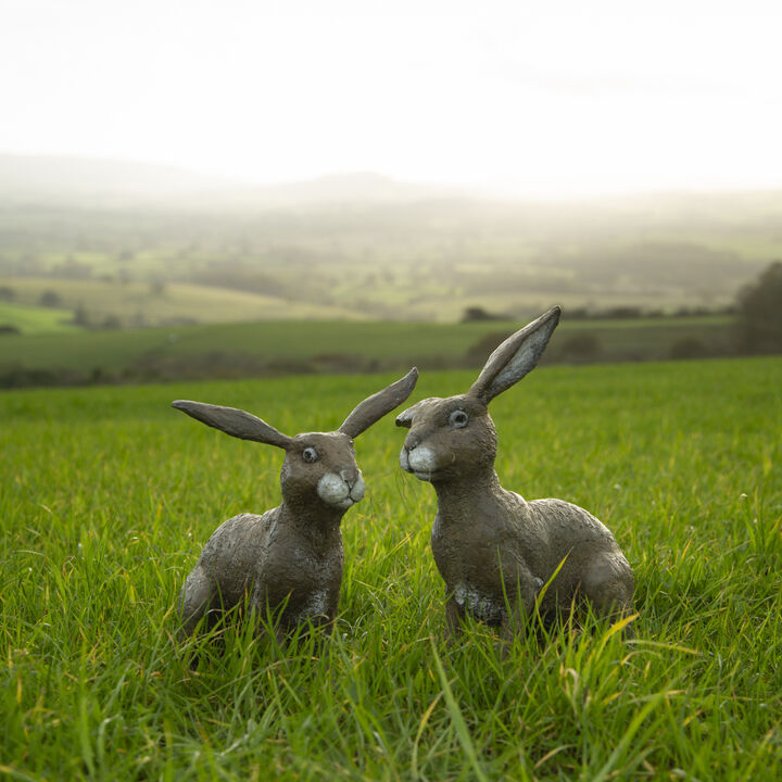 Clover &amp; Hazel - Bronze Garden Sculpture