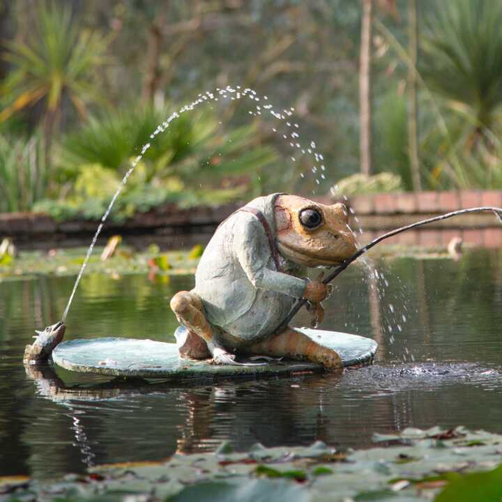 Mr. Jeremy Fisher - Garden Water Feature