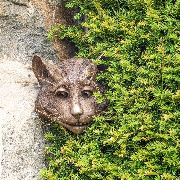 The Cheshire Cat Face - Bronze Garden Sculpture