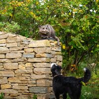 Cheshire cat and ember.jpg