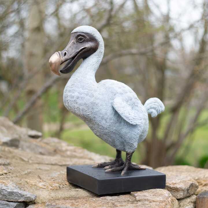 The Dodo - Bronze Garden Sculpture