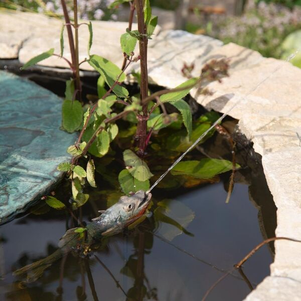 Jack Sharp Stickleback - Bronze Water Feature